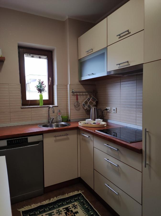 Deluxe Apartment Lejla - Free Garage Parking サラエヴォ エクステリア 写真